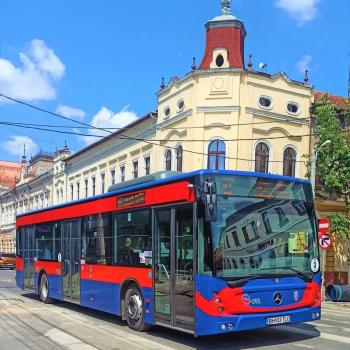 Modificări la traseul liniei 10 de autobuz ȋn perioada 23 – 25 august 2024